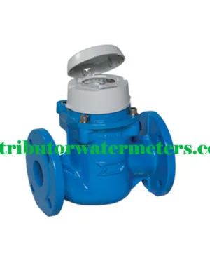 Water Meter Itron 2 Inch Woltmag M DN50