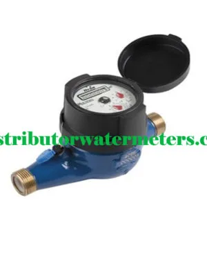 Water Meter Itron 1 Inch Multimag TMII