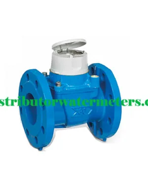 Water Meter Itron 3 Inch Woltex M