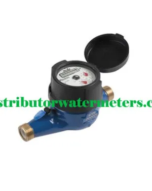 Water Meter Itron Multimag TMII 3/4 Inch