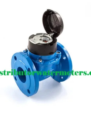 Water Meter Itron Woltex 2,5 Inch DN65