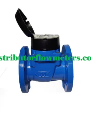 Water Meter Itron Woltex 3 Inch DN80