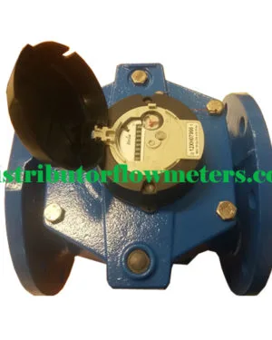 Water Meter Itron Woltex 6 Inch DN150