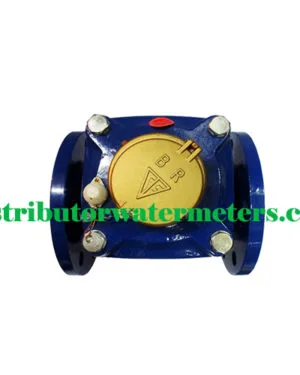 Water Meter BR 2 Inch DN50