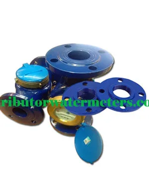 Water Meter Amico 2,5 Inch LXSG-65E