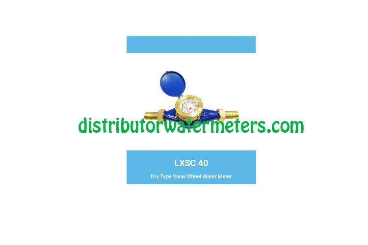 Water Meter Westechaus DN40 LXSC-40
